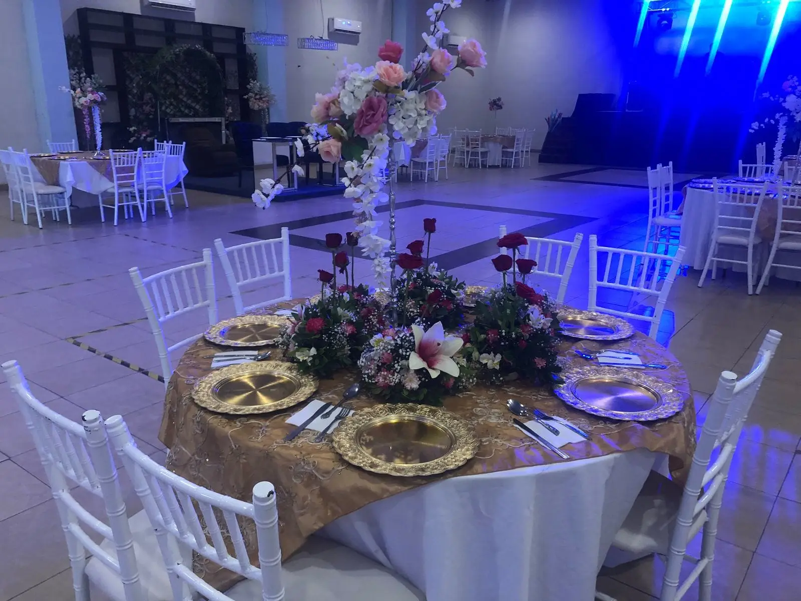 488250425_1197345755732851_42590211270093579_n